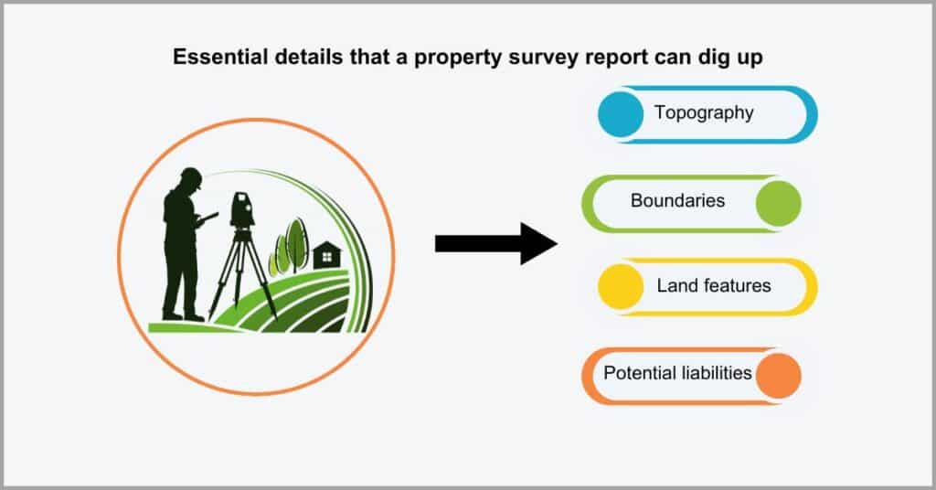 Documents for Real Estate Agencies - Property Survey Report